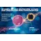 THOMAPYRIN TENSION DUO 400 mg/100 mg potahované tablety, 12 kusů