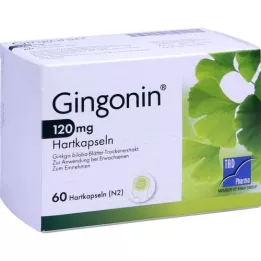 GINGONIN 120 mg tvrdé kapsle, 60 ks