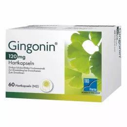 GINGONIN 120 mg tvrdé kapsle, 60 ks