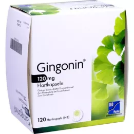 GINGONIN 120 mg tvrdé tobolky, 120 ks