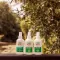 Care Plus Anti Insect 50% sprej Deet, 200 ml