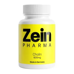 CHOLIN 600 mg čisté z bitartrátu veg.kapsle, 60 ks