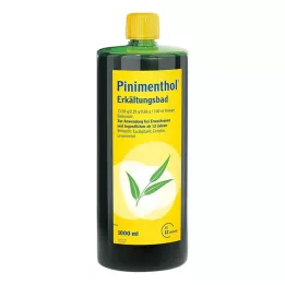 PINIMENTHOL Studená koupel od 12 let, 1000 ml