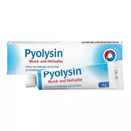 PYOLYSIN Mast na rány a hojení, 6 g