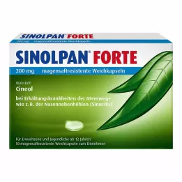 SINOLPAN forte 200 mg měkké tobolky potahované enterálními látkami, 50 ks