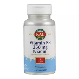 VITAMIN B3 NIACIN 250 mg tablety, 100 ks