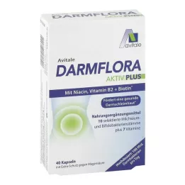 DARMFLORA Active Plus 100 miliard bakterií+7 vitamínů, 40 ks