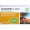 CURCUMIN-LOGES plus Boswellia Capsules, 60 kapslí