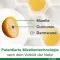 Curcumin-Loges plus Boswellia kapsle, 60 kusů
