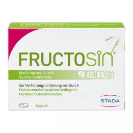 FRUCTOSIN Kapsle, 90 ks