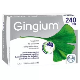 GINGIUM 240 mg potahované tablety, 120 kusů