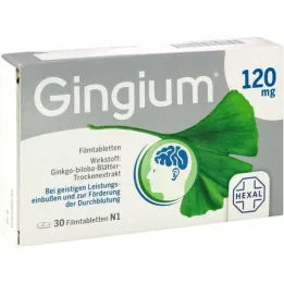 GINGIUM 120 mg potahované tablety, 30 ks