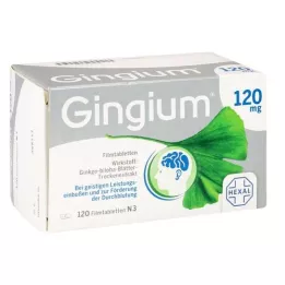 GINGIUM 120 mg potahované tablety, 120 kusů