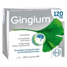 GINGIUM 120 mg potahované tablety, 120 kusů