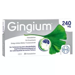 GINGIUM 240 mg potahované tablety, 20 kusů
