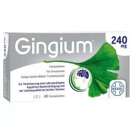 GINGIUM 240 mg potahované tablety, 40 kusů