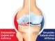 Instructions for use for GELENCIUM® arthro kapky, 100 ml - 2