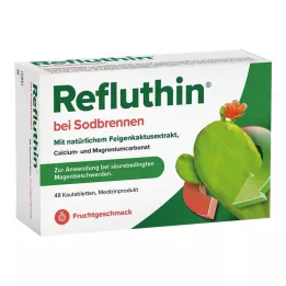 REFLUTHIN na pálení žáhy žvýkací tablety ovoce, 48 ks