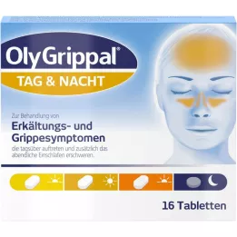 OLYGRIPPAL Den &amp; Noc 500 mg/60 mg tablety, 16 ks