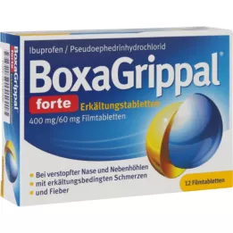 BOXAGRIPPAL forte Cold Tab. 400 mg/60 mg FTA, 12 ks