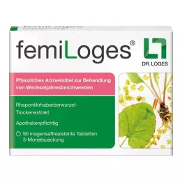 FEMILOGES entericky potahované tablety, 90 ks