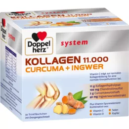 DOPPELHERZ Kolagen 11 000 Curcuma+Ingw.system TRA, 30X25 ml