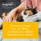Engystol® nám.veterinář.Tablety, 100 ks