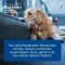 Nurexan nám.veterinář.Tablety, 500 ks