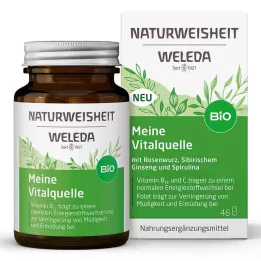 WELEDA Kapsle Natural Wisdom My Vital Source, 46 ks
