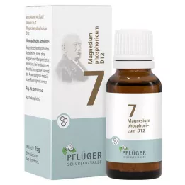 BIOCHEMIE Pluhová sádra 7 Magnesium phosphoricum D 12 Gl, 15 g