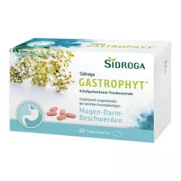 SIDROGA GastroPhyt 250 mg potahované tablety, 60 ks