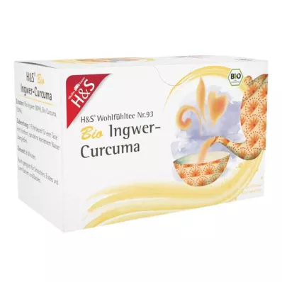 H&amp;S Bio zázvorovo-kurkumový filtrační sáček, 20X1,25g