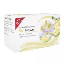 H&amp;S Organický zázvorový filtrační sáček, 20X2 g