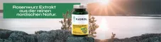 Instructions for use for Fjordil Rhodiola Rosea kapsle (90 kusů) - 1