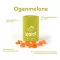 Ipalat Pastilles Flavour Edition Ogenmelon (40 kusů)