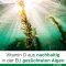 Vitamin D-Loges 7 000 IU rostlinného týdenního depotu, 60 kusů
