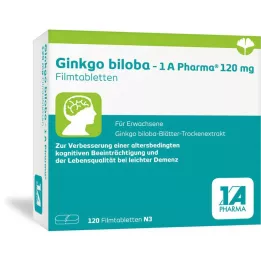 GINKGO BILOBA-1A Pharma 120 mg Potahované tablety, 120 kapslí