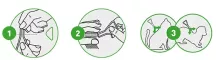 Instructions for use for FRONTLINE COMBO SPOT ON Kočka, 3 ks - 5