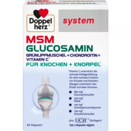 DOPPELHERZ MSM Glukosamin systémové kapsle, 60 ks