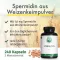 Green Naturals Spermidine 1,6 mg veganské kapsle, 240 ks