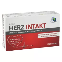 HERZ INTAKT s draslíkem+hořčíkem+B vitamíny tbl, 120 ks