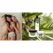 Plantana Olive Care sprchová koupel s bio olivami, 500 ml