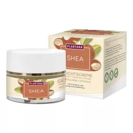 PLANTANA Bambucký krém na obličej s hyaluronem &amp; Vitamin-E, 50 ml
