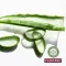 Plantana Aloe Vera Care sprchová koupel s bio Aloe Vera, 500 ml