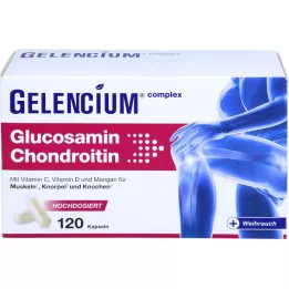 GELENCIUM Glukosamin Chondroitin s vysokou dávkou Vit C Kps, 120 ks