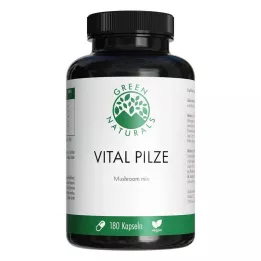 GREEN NATURALS Vital Mushrooms Cordyceps Reishi vegan, 180 ks